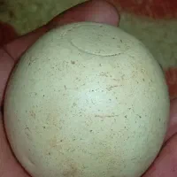 سنگ الماس آسیاب