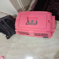 باکس پت سایز ۳