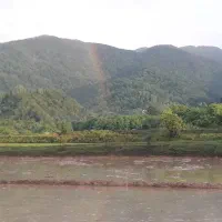 شالی 3000متری|فروش دفتر صنعتی، کشاورزی، تجاری|توتکابن, |دیوار