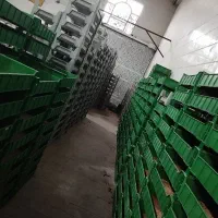 کارگر برای سالن تولیدی|استخدام صنعتی، فنی، مهندسی|مشهد, شایه|دیوار