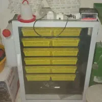 دستگاه جوجه کشی ققنوس ۵۰۴ عددی