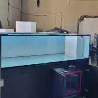 ریملس میخوای بیا