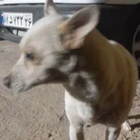 به علت جابه‌جایی