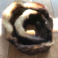 شال تزیینی|لباس|تهران, مینی‌سیتی (شهرک نفت)|دیوار