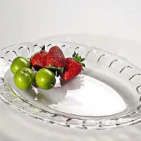 دیس شستی سایز متوسط