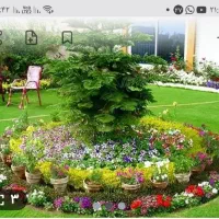 اجرای فضای سبز و باغچه کاری و گیاهان اپارتمانی