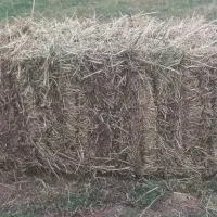 پرس یونجه