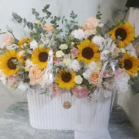 گل آفتاب گردان