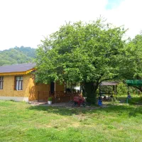 کلبه چوبی جنگلی آرامش
