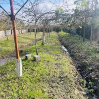 فروش زمین ۶۷۰ متری باغ کیوی با سند