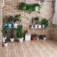 اجاره ویلایی100 متری صمدیه لباف