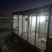 جوشکارسیار|خدمات پیشه و مهارت|زابل, |دیوار