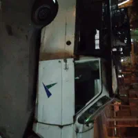 وانت میوه فروشی