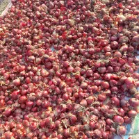 پباز|خوردنی و آشامیدنی|نوشین شهر, |دیوار