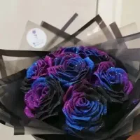 گل ماندگار ر.و.بانی