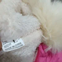 کاپشن دخترانه خرگوشی|کفش و لباس بچه|مرودشت, پشت سایپا|دیوار