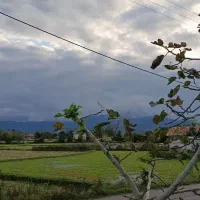 زمین زراعی و مسکونی|فروش زمین و ملک کلنگی|شفت, |دیوار