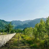 ۳ قطعه زمین باغی ۹۷۵متر مسکونی۴۱۶مترو ویلا معاوضه|فروش زمین و ملک کلنگی|لاهیجان, لیالستان|دیوار
