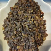 کشمش تازه امسال