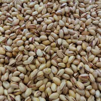 پسته احمد آقایی