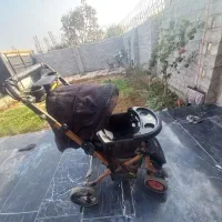 کالسکه کودک|کالسکه و لوازم جانبی|ساری, |دیوار