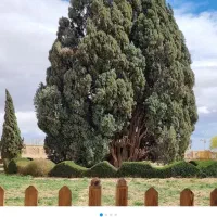 زمین تجاری