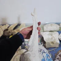 تولید و احداث کارگاه با کسب درآمد تضمینی|مجسمه، تندیس، ماکت|مشهد, سرافرازان|دیوار