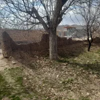 زمین در وشاره فوری دنج و سر سبز