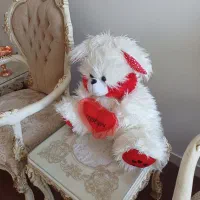 خرس بزرگ نو