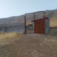 اجاره دامداری