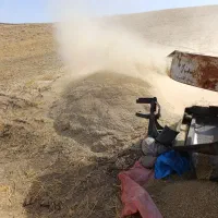 کاه گندم دیم خرمنگوب