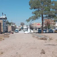 فروش زمین تربت حیدریه|فروش زمین و ملک کلنگی|تربتحیدریه, طالقانی|دیوار