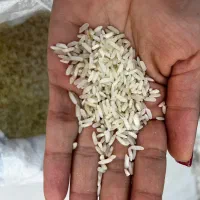 برنج ایرانی عنبربووچمپا بشرط فروش بصورت عمده وتکی|خوردنی و آشامیدنی|بندر گناوه, |دیوار