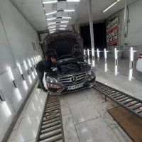کارشناسی و تشخیص رنگ عقاب اصفهان