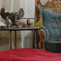 مرغ عشق نر