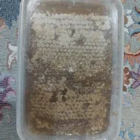 عسل طبیعی کوهستانی بدون تغذیه وشکر