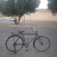 دوچرخه فونیکس