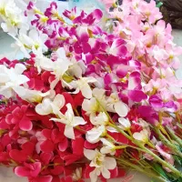 تعداد ۱۲ شاخه گل