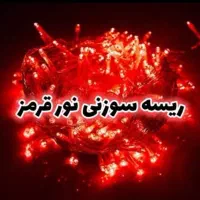 انواع ریسه های تزئینی مناسب دیزاین شب یلدا|ریسه و چراغ تزئینی|مشهد, سعد آباد|دیوار