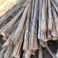 خریدوفروشانواعچوب|خدمات باغبانی و درختکاری|کرمانشاه, |دیوار