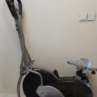 الیپتکال