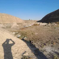 زمین بامساحت7000متر باکاربری وخاکبرداری شده|فروش دفتر صنعتی، کشاورزی، تجاری|ارشق, |دیوار