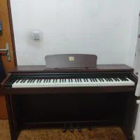 Burgmuller BM280|پیانو، کیبورد، آکاردئون|تنکابن, |دیوار