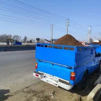 کود حیوانی هم گوسفندی هم گاوی