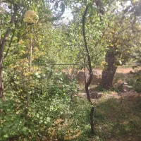 باغ 186متری با گاز و برق و آب در شهر زیبای اسکو|فروش خانه و ویلا|اسکو, |دیوار