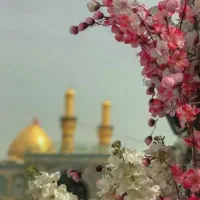 تور کربلا/زمینی درجه الف ویژه/اقساطی|تور و چارتر|قم, دورشهر|دیوار