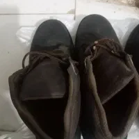 کفش ایمنی نو و کارکرده|کیف، کفش، کمربند|باغستان, |دیوار