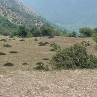 زمین160متری-با-پروانه-5طبقه-به-روز