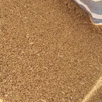 گندم ب شرط|خوردنی و آشامیدنی|نیشابور, گنبد سبز|دیوار