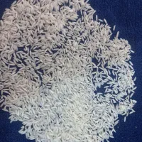 هاشمی معطر واعلا یکدست|خوردنی و آشامیدنی|رشت, حمیدیان|دیوار